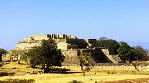 帕尔默独树一帜地领导球队，特里对其快速回归巅峰信心满满。